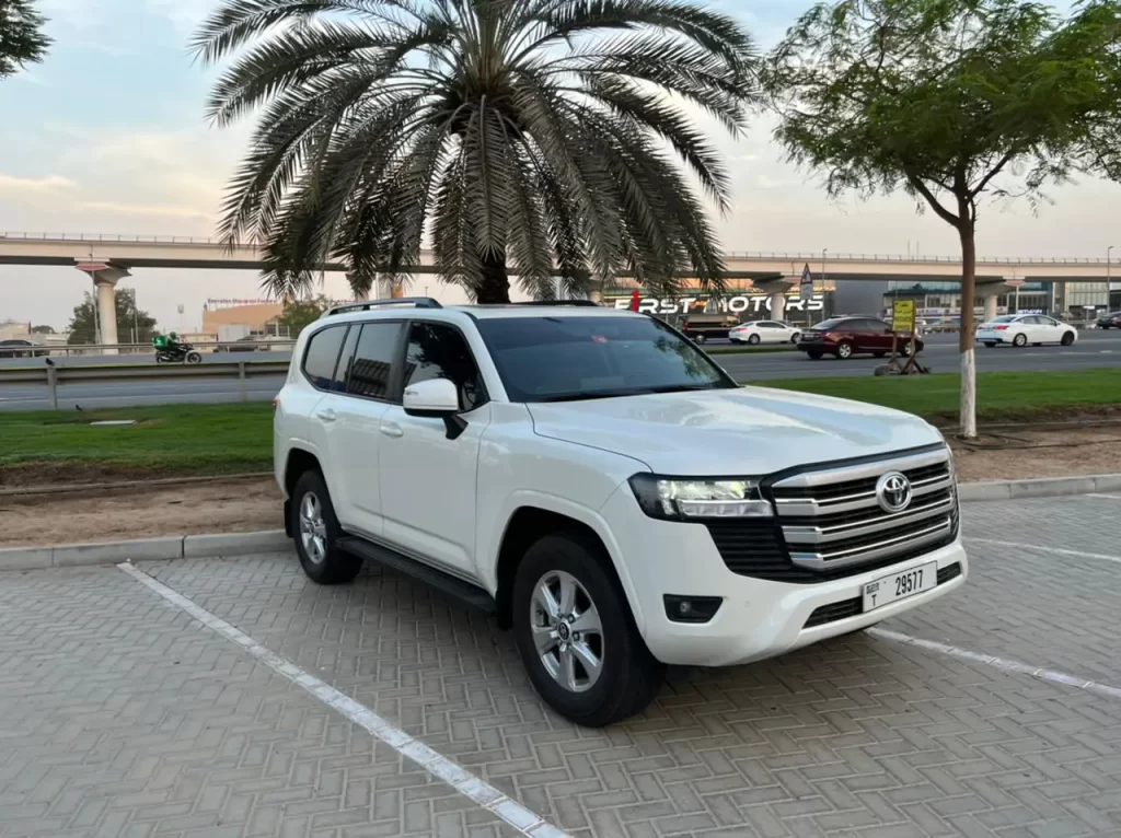 Benefits of Hiring a Car With a Driver Monthly